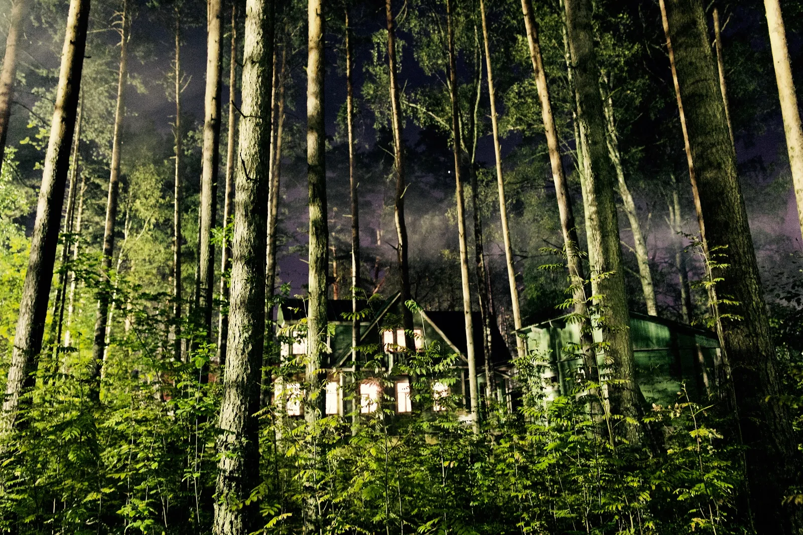 Het-huisje-in-het-bos.jpg